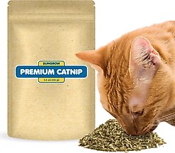 SunGrow Catnip Treats for Cat Enrichment & Refillable Plush Kitty Toys, 1.5-oz bag
