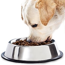 SunGrow No Spill Stainless Steel Large Dog Water & Food Bowl with Non-Slip Rubber Base, 64-oz