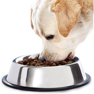 SunGrow SunGrow No Spill Stainless Steel Large Dog Water & Food Bowl with Non-Slip Rubber Base, 64-oz
