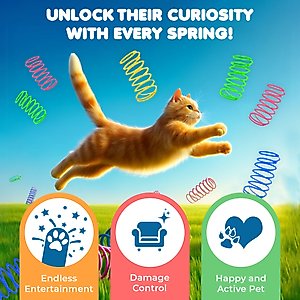 SunGrow Colorful Interactive Indoor Cat Spiral Spring Chasing Toy for Boredom, Exercise & Entertainment, 12 count