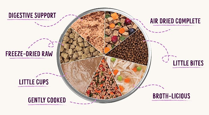 Health Extension Gently Cooked Grain-Free Salmon Recipe Wet Dog Food