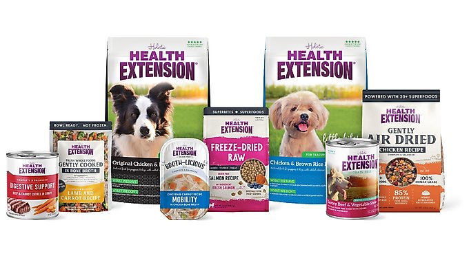 Health Extension Gently Cooked Grain-Free Salmon Recipe Wet Dog Food