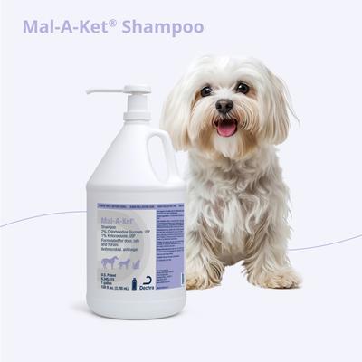 Show full view: Mal-A-Ket Shampoo for Dogs, Cats & Horses, 1-gallon bottle slide 5 of 6