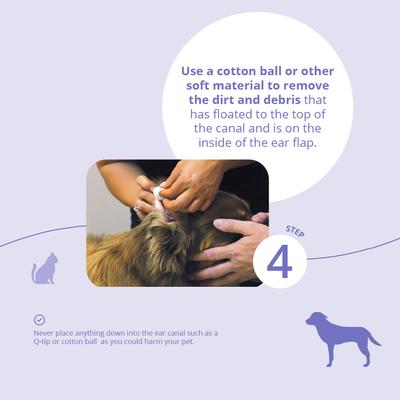 Show full view: Malaseb Flush for Dogs, Cats & Horses, 4-oz bottle slide 9 of 10