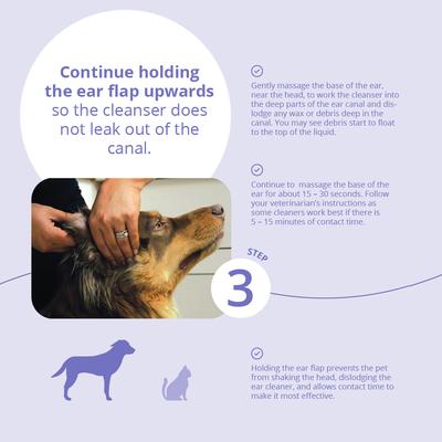 Show full view: Malaseb Flush for Dogs, Cats & Horses, 4-oz bottle slide 8 of 10