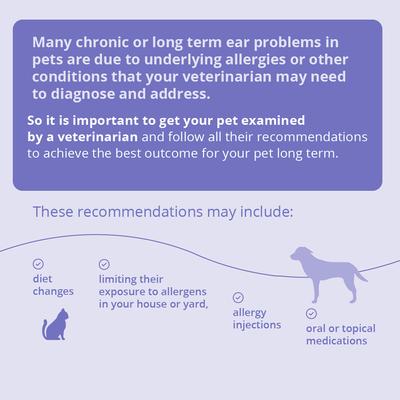 Show full view: Malaseb Flush for Dogs, Cats & Horses, 4-oz bottle slide 4 of 10