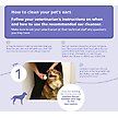 Show in main carousel: Mal-A-Ket Plus TrizEDTA Flush for Dogs & Cats, 12-oz bottle slide 6 of 9