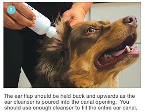 Show full view: Mal-A-Ket Plus TrizEDTA Flush for Dogs & Cats, 12-oz bottle slide 8 of 10