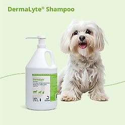 DermaLyte Shampoo for Dogs, Cats & Horses, 1-gallon bottle slide 2 of 8