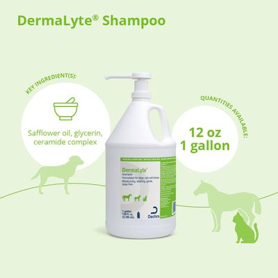 Show full view: DermaLyte Shampoo for Dogs, Cats & Horses, 1-gallon bottle slide 3 of 5