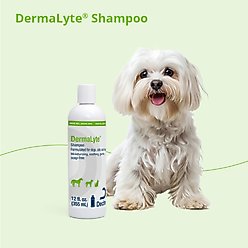 DermaLyte Shampoo for Dogs, Cats & Horses, 12-oz bottle slide 2 of 7
