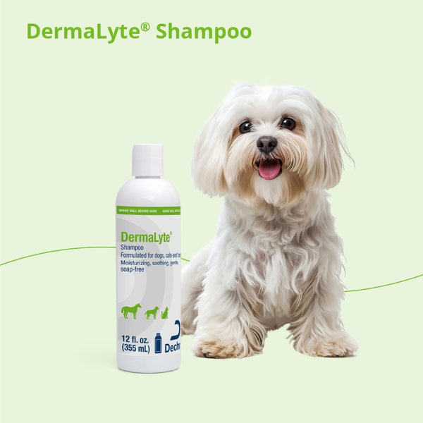 Show full view: DermaLyte Shampoo for Dogs, Cats & Horses, 12-oz bottle slide 7 of 7