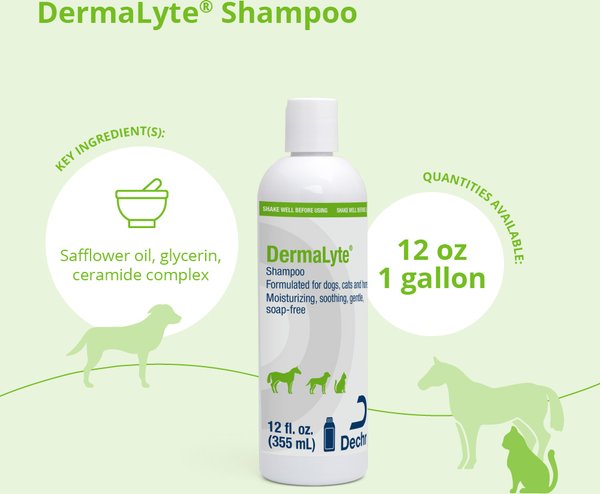 Show full view: DermaLyte Shampoo for Dogs, Cats & Horses, 12-oz bottle slide 2 of 7