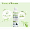 Show in main carousel: DermaLyte Shampoo for Dogs, Cats & Horses, 12-oz bottle slide 2 of 7