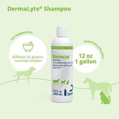 Show full view: DermaLyte Shampoo for Dogs, Cats & Horses, 12-oz bottle slide 3 of 8