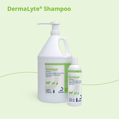 Show full view: DermaLyte Shampoo for Dogs, Cats & Horses, 12-oz bottle slide 5 of 8