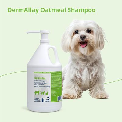 Show full view: DermAllay Oatmeal Shampoo for Dogs, Cats & Horses, 1-gallon bottle slide 5 of 5