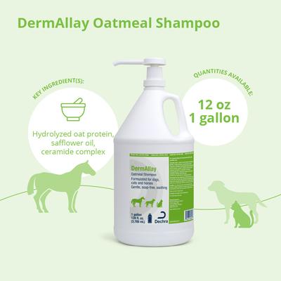 Show full view: DermAllay Oatmeal Shampoo for Dogs, Cats & Horses, 1-gallon bottle slide 3 of 5