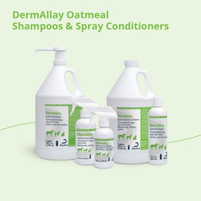 Show full view: DermAllay Oatmeal Spray Conditioner for Dogs, Cats & Horses, 8-oz bottle slide 5 of 9