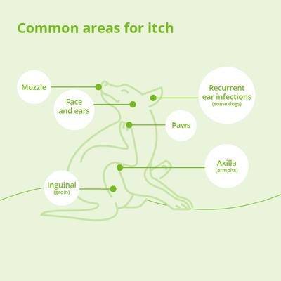 Show full view: Atopivet Dog & Cat Skin Care Collar, 29-in slide 7 of 8