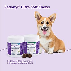 Redonyl Ultra Soft Chews Allergy Supplement for Dogs, 100-mg, 120 count slide 2 of 9