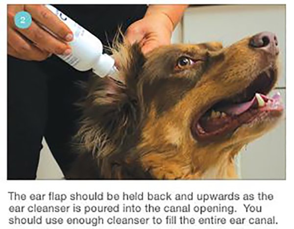 Show full view: Mal-A-Ket Plus TrizEDTA Flush for Dogs & Cats, 4-oz bottle slide 8 of 10
