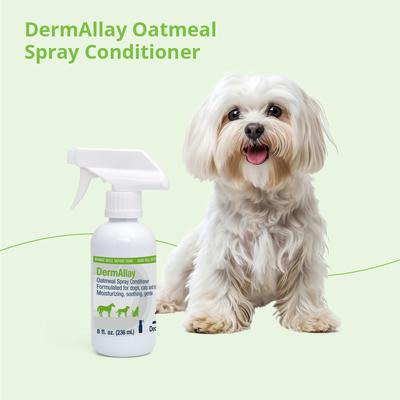 Show full view: DermAllay Oatmeal Spray Conditioner for Dogs, Cats & Horses, 8-oz bottle slide 8 of 9