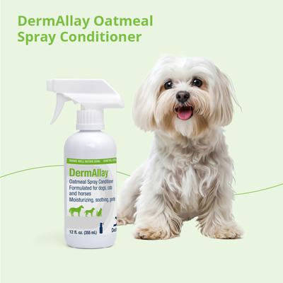 Show full view: DermAllay Oatmeal Spray Conditioner for Dogs, Cats & Horses, 12-oz bottle slide 5 of 6