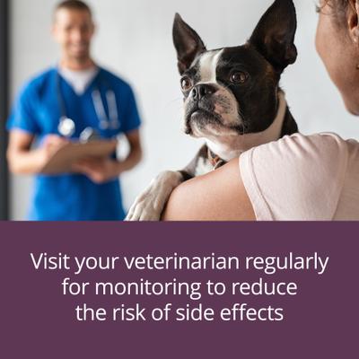 Show full view: Vetoryl (trilostane) Capsules for Dogs, 5-mg, 30 capsules slide 5 of 10