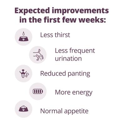 Show full view: Vetoryl (trilostane) Capsules for Dogs, 5-mg, 30 capsules slide 4 of 10