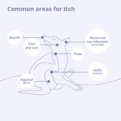 Show full view: Mal-A-Ket Plus TrizEDTA Spray Conditioner for Dogs & Cats, 8-fl oz bottle slide 6 of 10