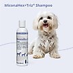 Show in main carousel: MiconaHex+Triz Shampoo for Dogs & Cats, 8-fl oz bottle slide 7 of 9