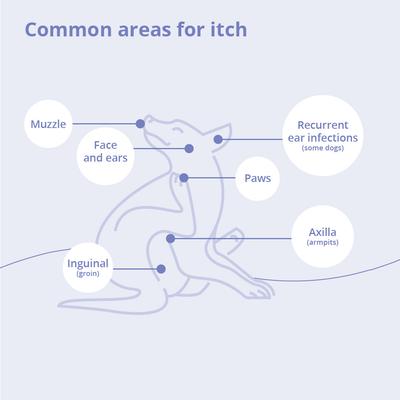 Show full view: MiconaHex+Triz Shampoo for Dogs & Cats, 8-fl oz bottle slide 6 of 10