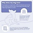 Show in main carousel: MiconaHex+Triz Shampoo for Dogs & Cats, 8-fl oz bottle slide 6 of 9