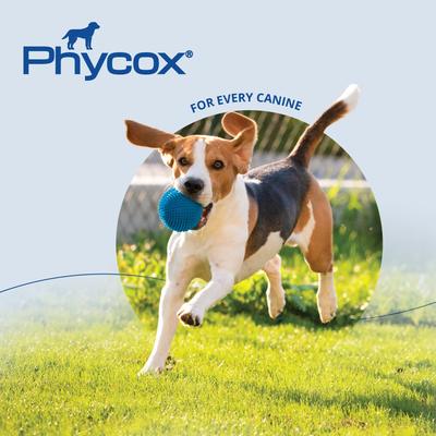 Show full view: Phycox Soft Chews Joint Supplement for Dogs, 120 count slide 8 of 9