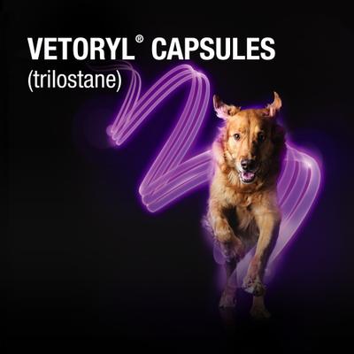 Show full view: Vetoryl (trilostane) Capsules for Dogs, 5-mg, 30 capsules slide 6 of 10