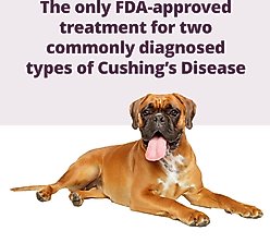 Vetoryl (trilostane) Capsules for Dogs, 5-mg, 30 capsules slide 2 of 7