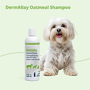 DermAllay Oatmeal Shampoo for Dogs, Cats & Horses, 12-fl oz bottle
