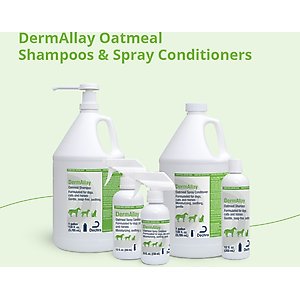 DermAllay Oatmeal Shampoo for Dogs, Cats & Horses, 12-fl oz bottle