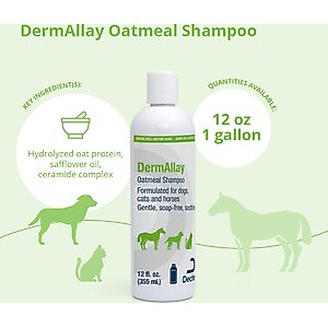 DermAllay Oatmeal Shampoo for Dogs, Cats & Horses, 12-fl oz bottle