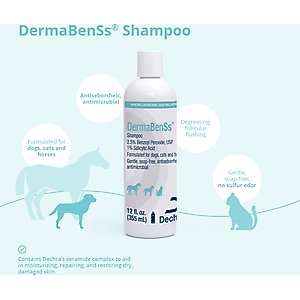 DermaBenSs Shampoo for Dogs, Cats & Horses, 12-fl oz bottle