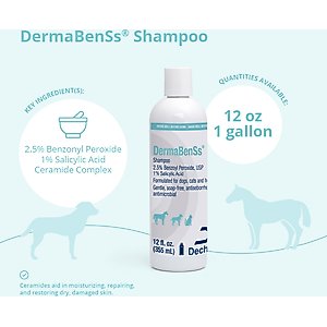 DermaBenSs Shampoo for Dogs, Cats & Horses, 12-fl oz bottle