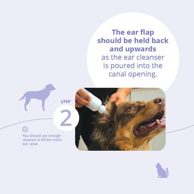 Show full view: TrizCHLOR Flush for Dogs & Cats, 4-fl oz bottle slide 8 of 11