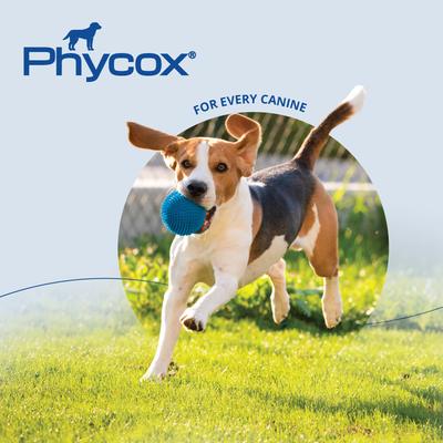 Show full view: Phycox MAX Soft Chews Joint Supplement for Dogs, 90 count slide 8 of 9