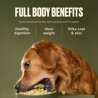 Show full view: Nom Nom Freshly-Made Frozen Turkey Fare Dog Food, 14-oz pouch, case of 7 slide 5 of 11