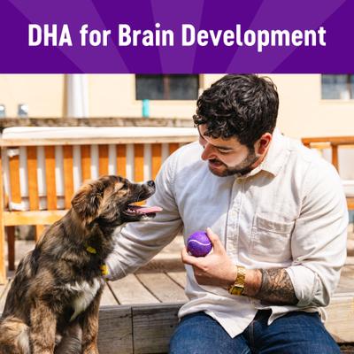 Wellness Soft Puppy Bites Lamb & Salmon Recipe Grain-Free Natural Dog Treats