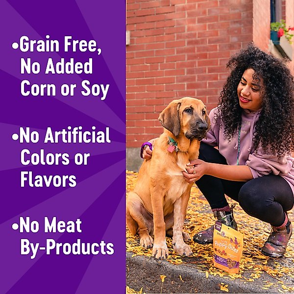 Wellness Soft Puppy Bites Lamb & Salmon Recipe Grain-Free Natural Dog Treats