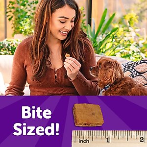 Wellness Soft Puppy Bites Lamb & Salmon Grain-Free Dog Treats, 8-oz pouch