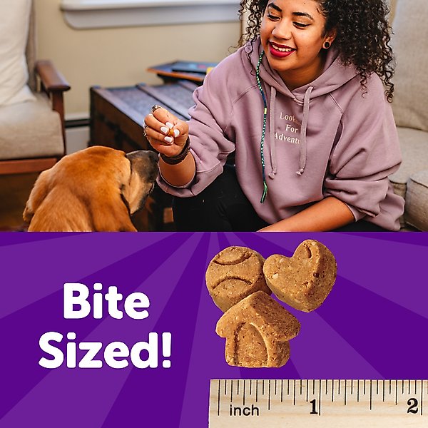 Show full view: Wellness Crunchy Puppy Bites Chicken & Carrots Recipe Grain-Free Natural Dog Treats, 6-oz bag slide 5 of 12