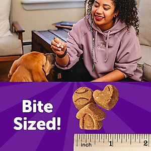 Wellness Crunchy Puppy Bites Chicken & Carrots Recipe Grain-Free Natural Dog Treats, 6-oz bag